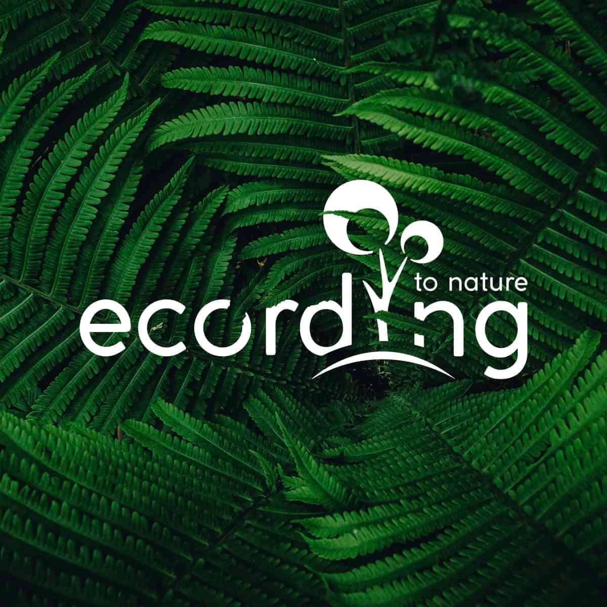 ecording